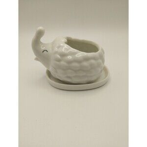 Whimsical White Ceramic Hedgehog Mini Cactus Air Plant Pot Drainage Tray